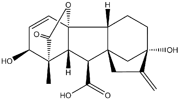 赤霉素GIBBERELLIC ACID，居然有這么神奇？